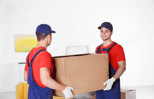Partial packing service for a flat or house in Coulsdon with labelled boxes